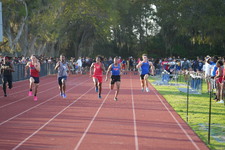 Enlarge photo 372
