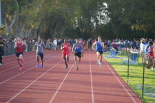 Enlarge photo 374