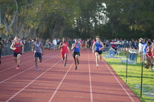 Enlarge photo 375