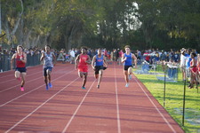 Enlarge photo 376