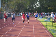 Enlarge photo 377