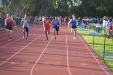 Enlarge photo 378