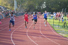 Enlarge photo 383