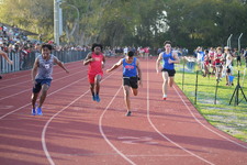 Enlarge photo 382