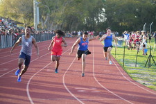 Enlarge photo 385