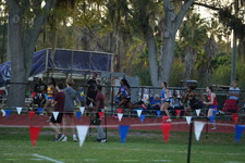 Enlarge photo 463