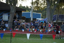 Enlarge photo 473