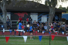 Enlarge photo 479