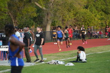 Enlarge photo 509