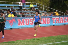 Enlarge photo 530