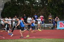 Enlarge photo 536