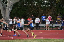 Enlarge photo 537