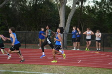 Enlarge photo 545