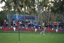 Enlarge photo 564