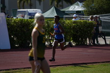 Enlarge photo 62