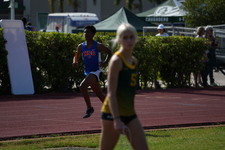 Enlarge photo 61