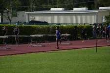 Enlarge photo 84