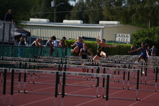 Enlarge photo 169