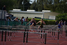 Enlarge photo 172