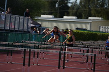 Enlarge photo 185