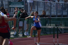 Enlarge photo 231