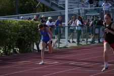 Enlarge photo 235