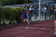Enlarge photo 237