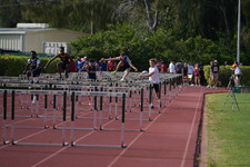 Enlarge photo 257
