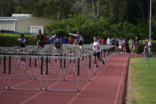 Enlarge photo 258