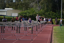 Enlarge photo 265