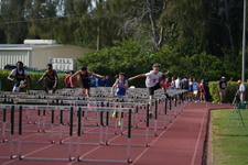 Enlarge photo 264