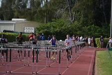 Enlarge photo 273