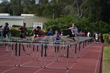 Enlarge photo 280