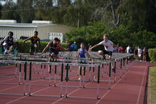 Enlarge photo 281