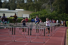 Enlarge photo 284