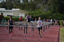 Enlarge photo 291