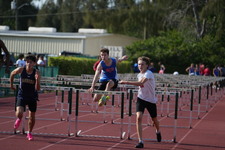 Enlarge photo 301
