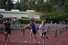 Enlarge photo 305
