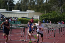 Enlarge photo 307