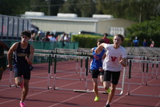 Enlarge photo 310