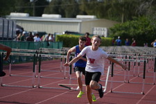 Enlarge photo 312