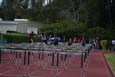 Enlarge photo 329