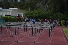 Enlarge photo 331
