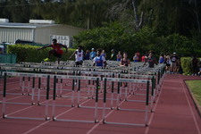 Enlarge photo 332