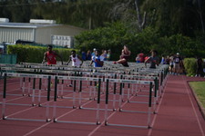 Enlarge photo 335