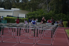 Enlarge photo 337