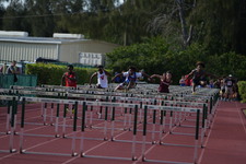 Enlarge photo 340