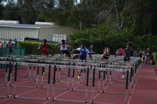 Enlarge photo 341