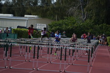 Enlarge photo 342