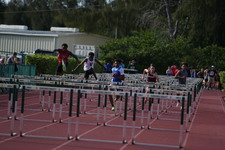 Enlarge photo 343